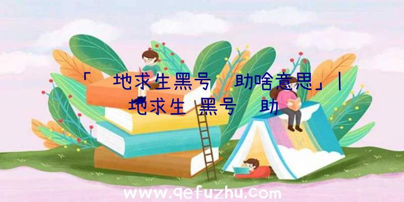 「绝地求生黑号辅助啥意思」|绝地求生